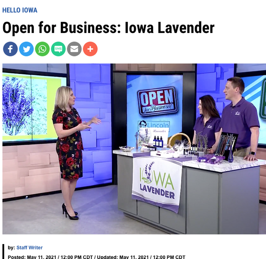 Video: Iowa Lavender on 'Hello Iowa,' WHOTV 13